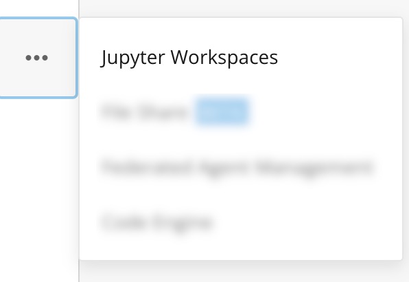 Jupyter Workspaces | User Guide