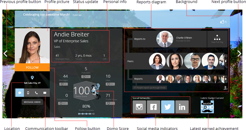 Explore the User Profile